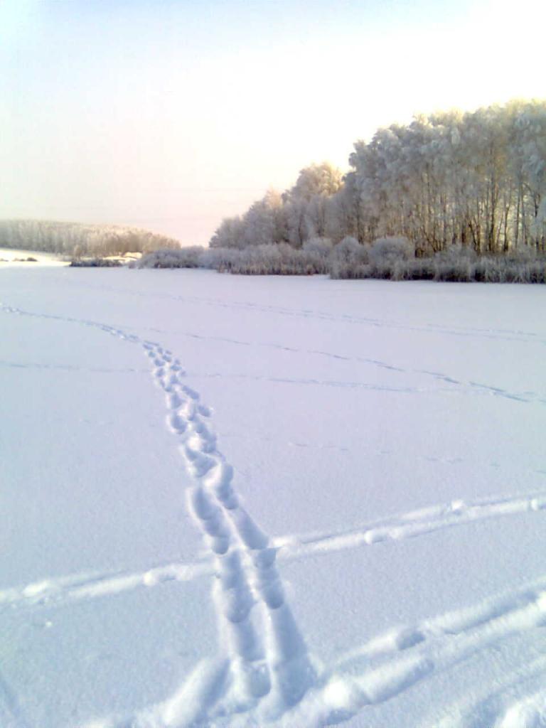 -28 Кашкаровский