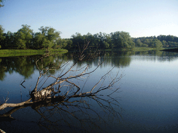 фронт работ.