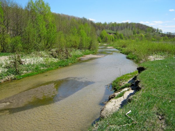 Красавица Кадада.