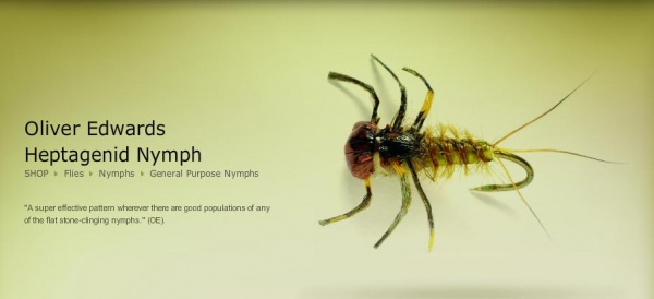 OEdwardsHeptagenidNymph1