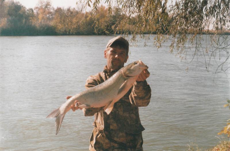 Осень, дельта Волги 2008