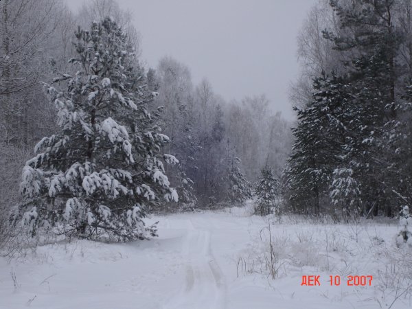 пейзажи с работы