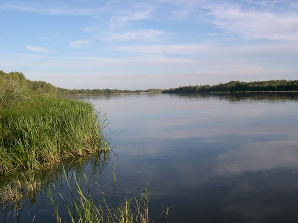 р.Дон, Волгоградская обл.