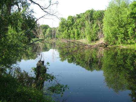 село Куракино.