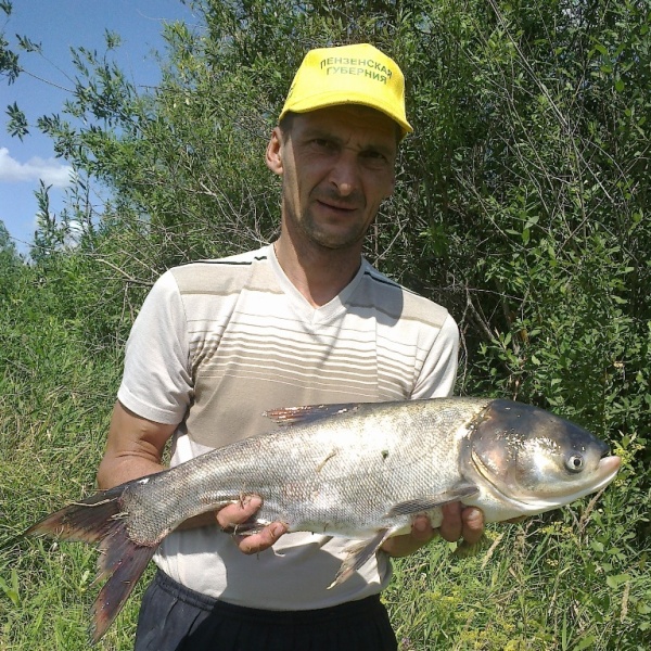 Улов 29 июля2012г.