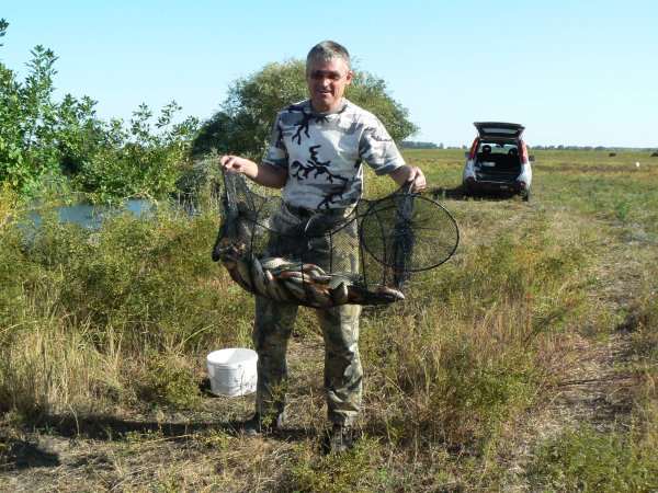 Улов одной удочки за пол дня