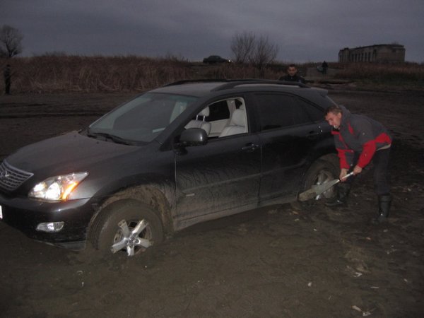 в погоне за рыбой