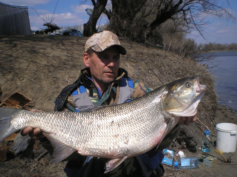 Весна 2011 Н.Волга  Джанай.