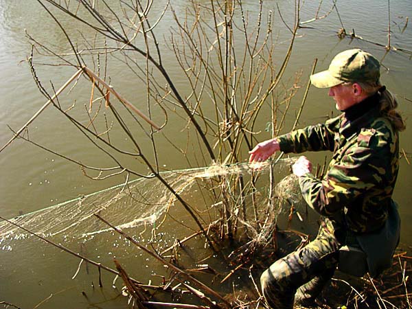 Весной в лесу расцветают подснежники, а в реках - сети