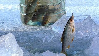 Первая рыбалка на льду 2018. НАКОНЕЦ-ТО! Зимняя рыбалка. Ловля живца для жерлиц на щуку.