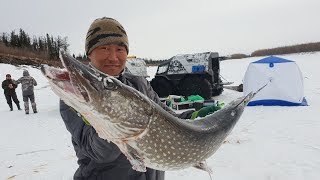 Приключения ШЕРП в Якутии -рыбалка 3 часть/ Аdventure of Sherp in Yakutia fishing -3 p